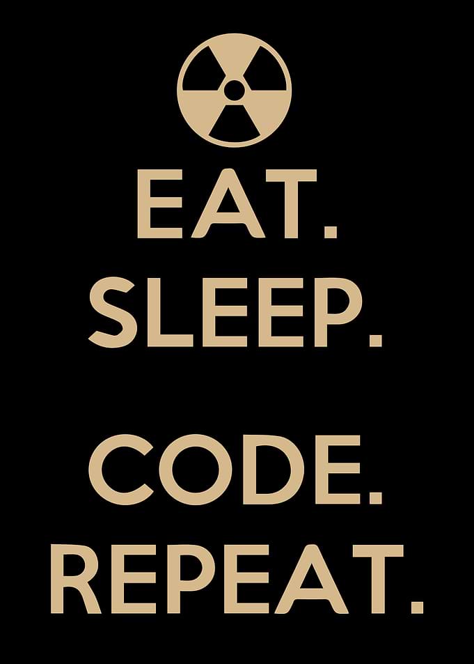 Programmer