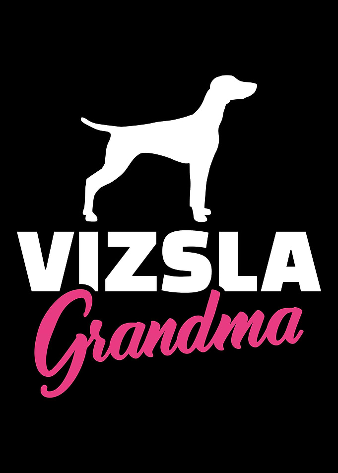 Vizsla