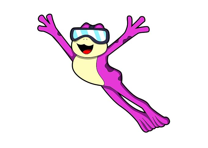 Frog Sunglasses