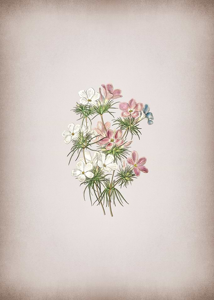 Thick Flower Slender Tube