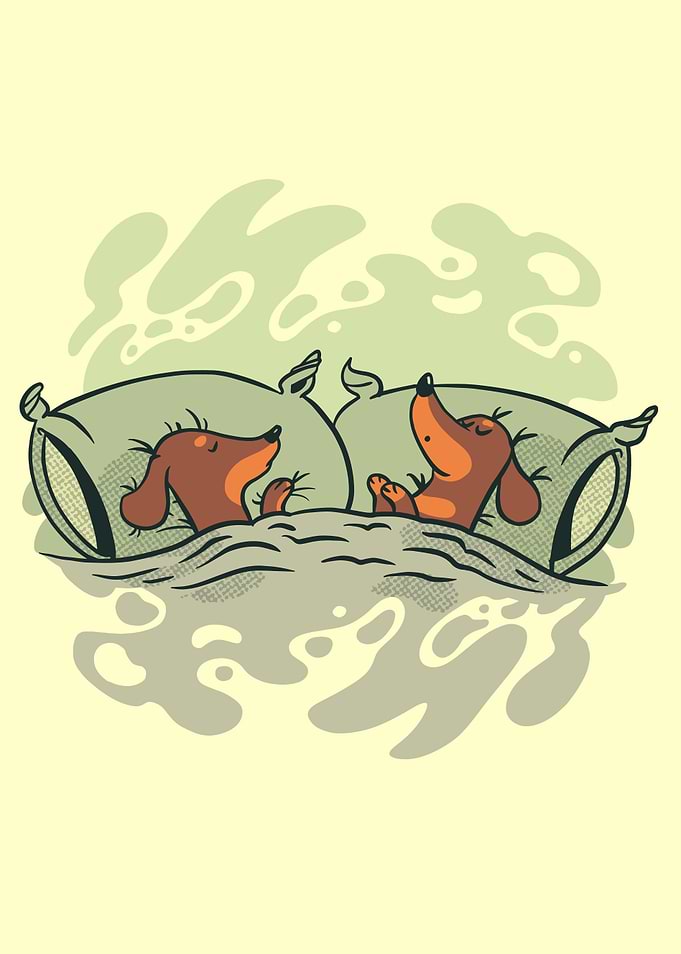 Cute Sausage Dogs Sleeping