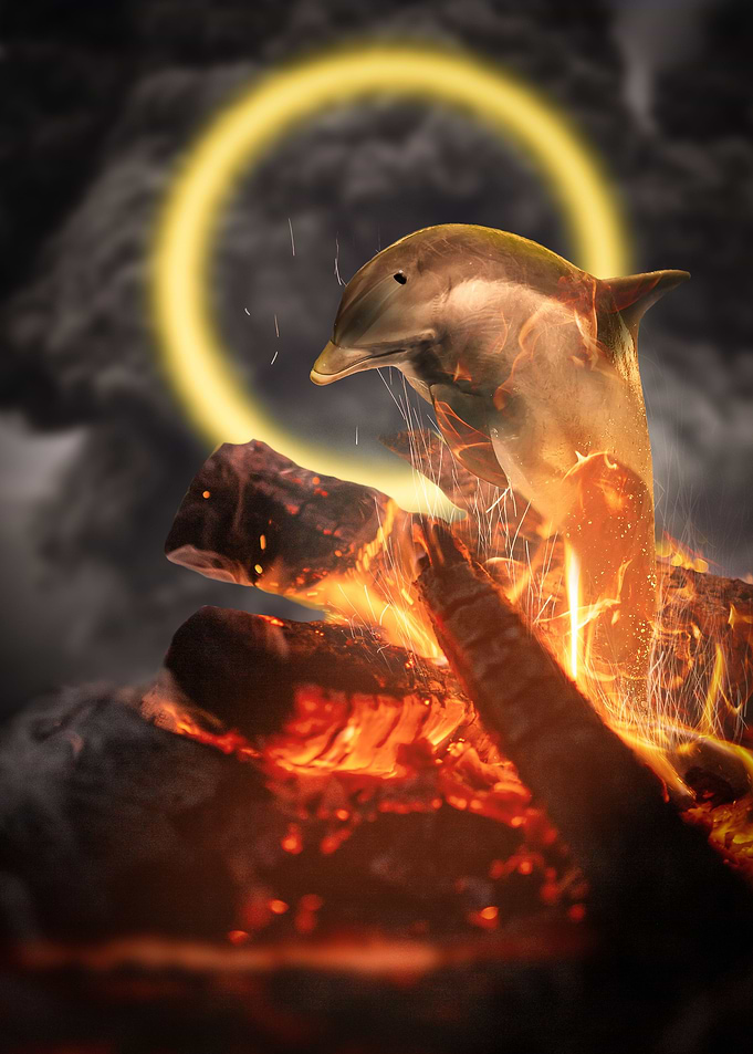 Elemental Dolphin