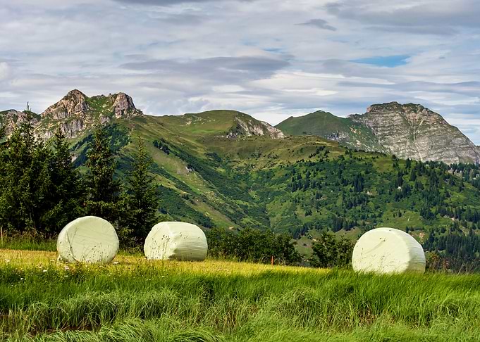 Austrian Alps