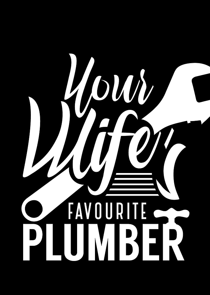 Wifes Favourite Plumber