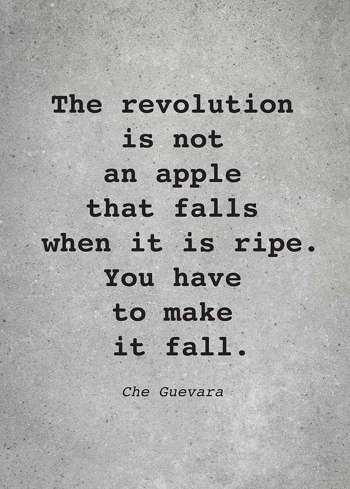 Che Guevara Quote L001