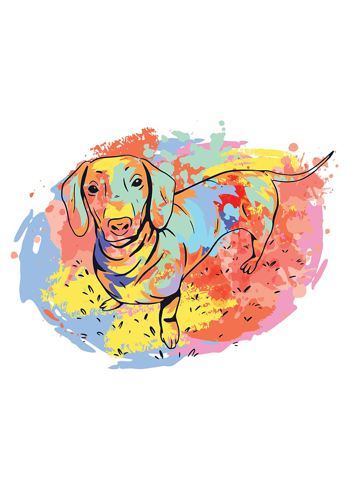 Colorful Sausage Dog Gift