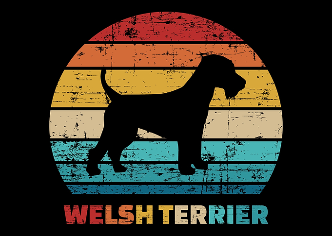 Welsh Terrier