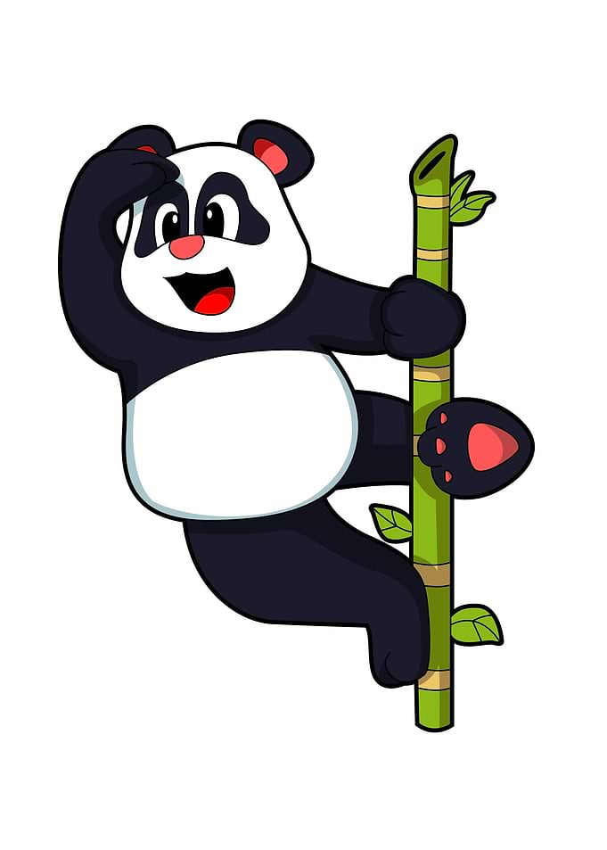 Panda Bamboo