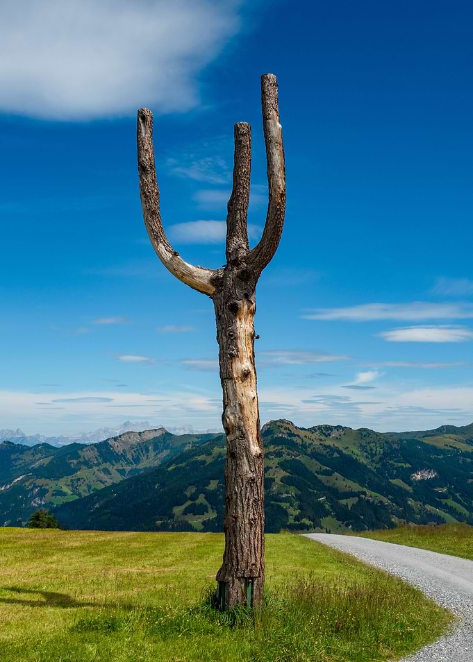 Austrian Alps