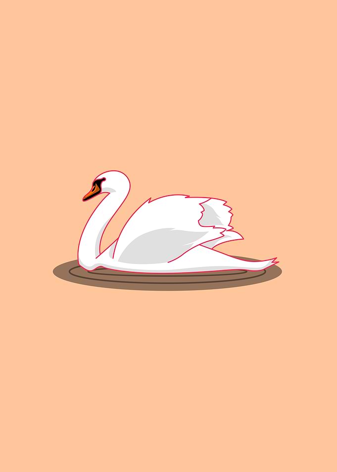 sweet goose