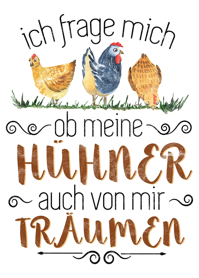 Hhnerhalter Landwirt Huhn