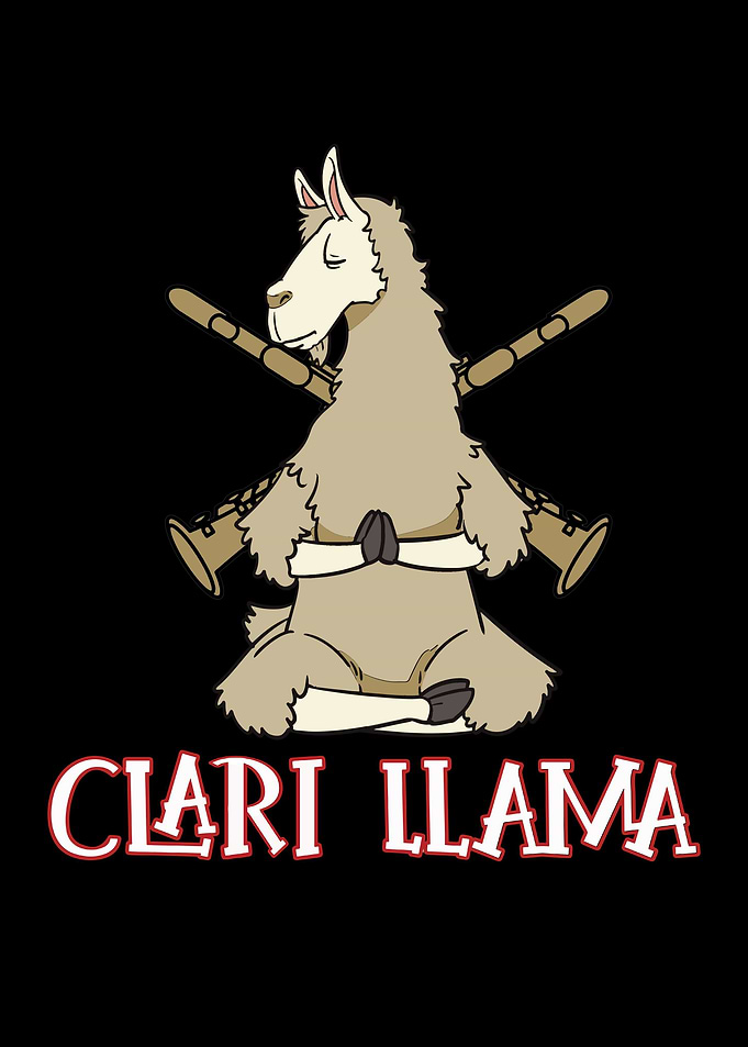 Funny Clarinet Gift For