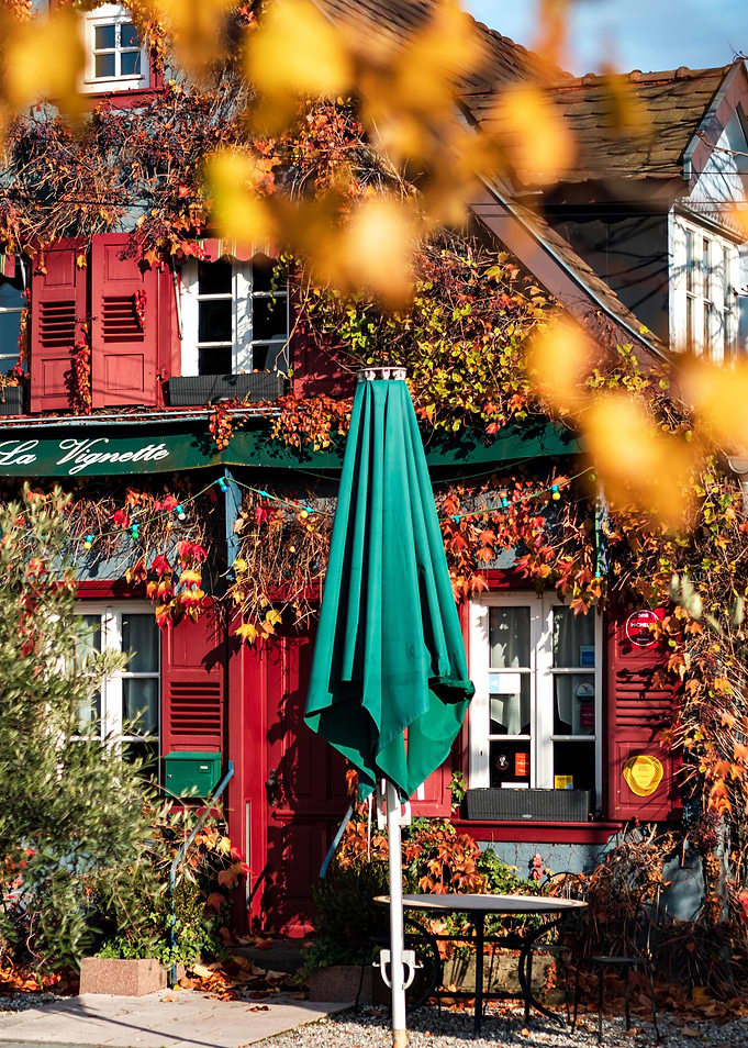 Autumn colors