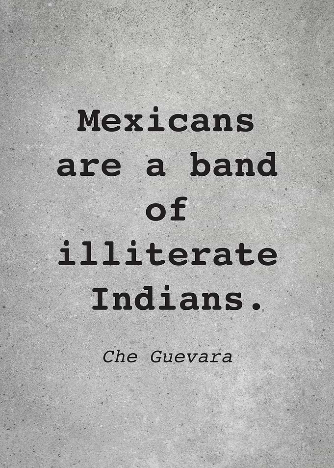 Che Guevara Quote L015