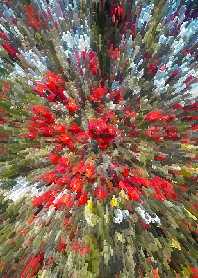 Red forest fruit