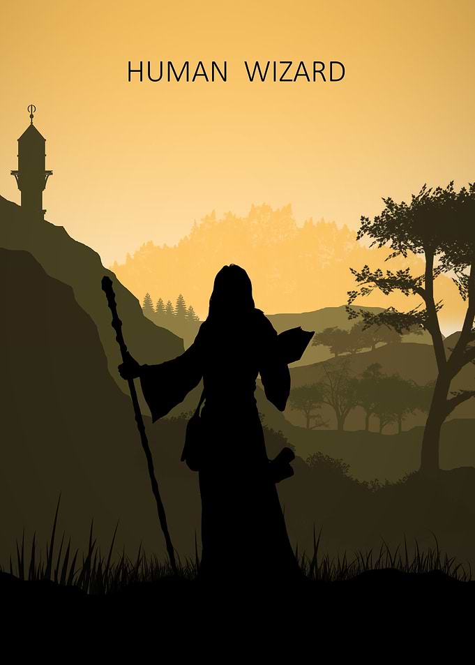 Human Wizard