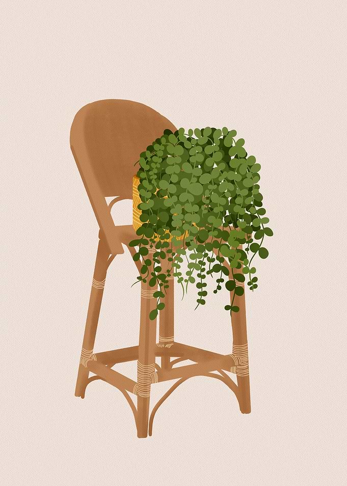 Sting of pearls plant