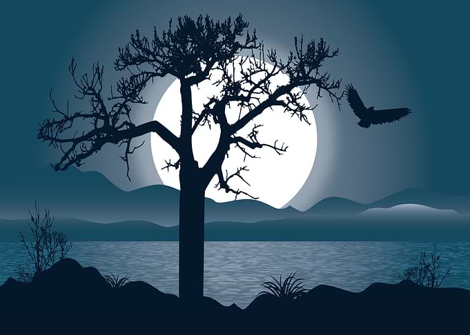 Night Landscape
