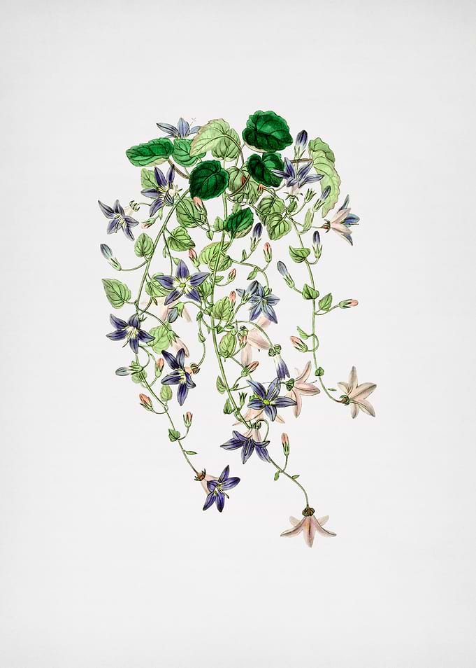 Vintage Angelo Flower