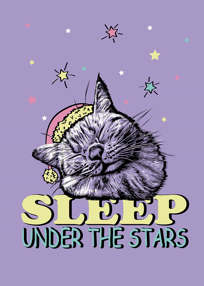Sleeping cat