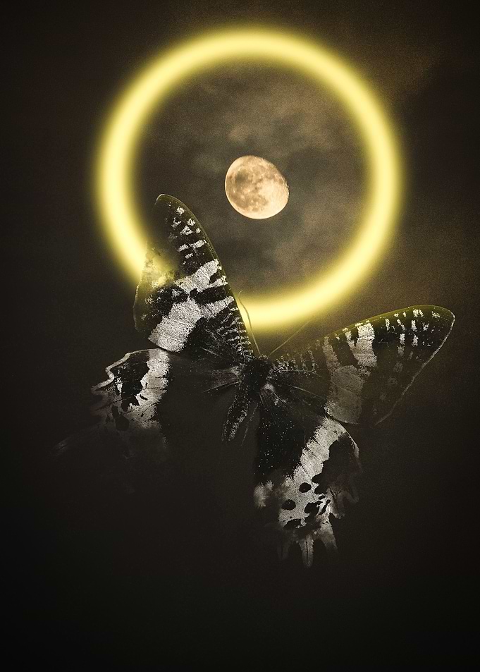 Elemental Butterfly