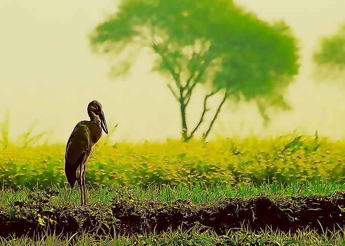 stork poster