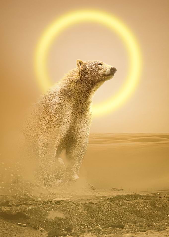 Elemental Bear
