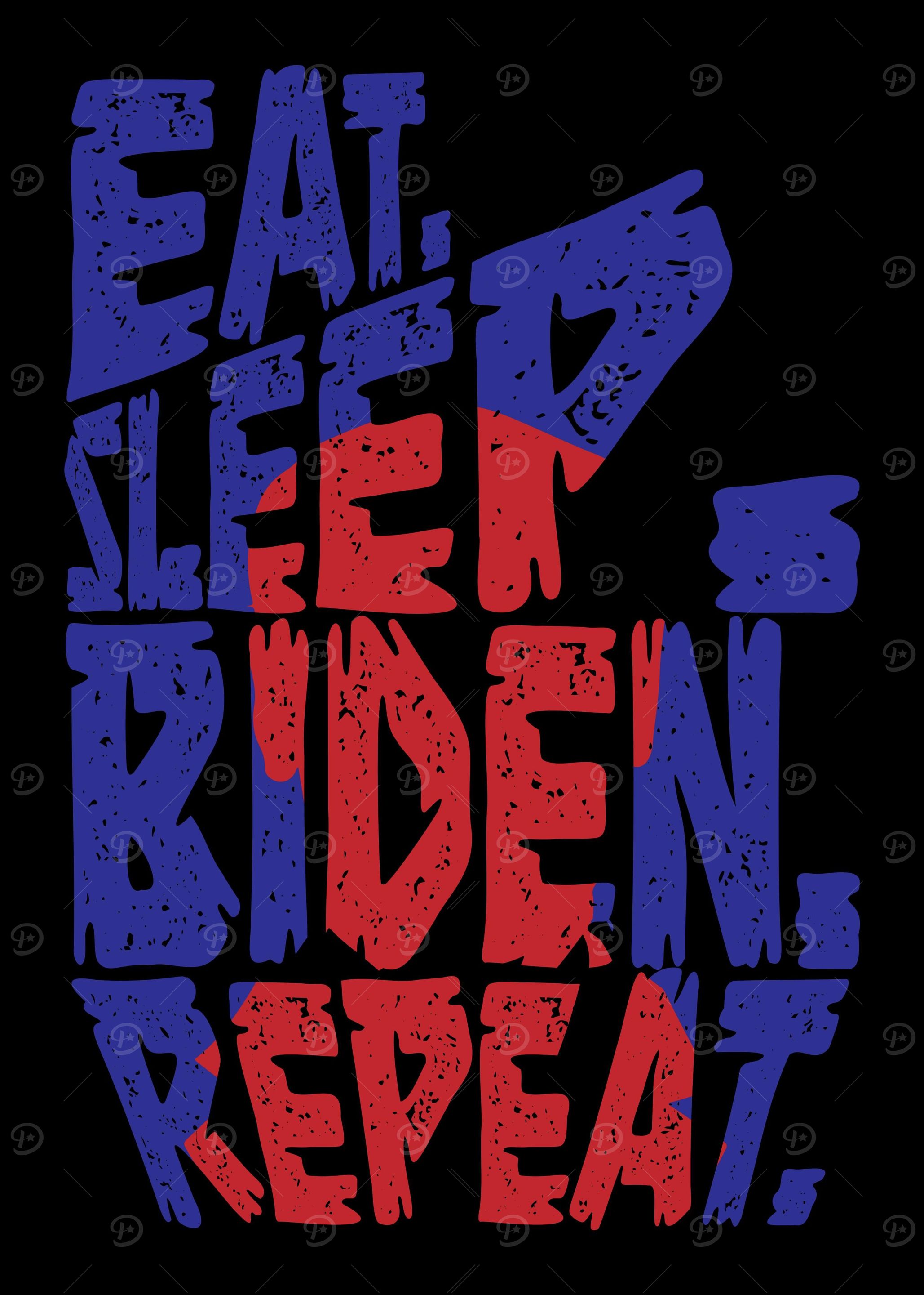Joe Biden President USA