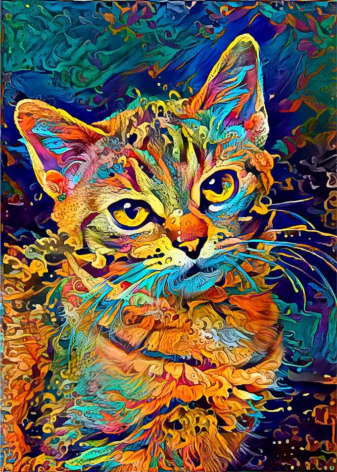 Cutie kitty