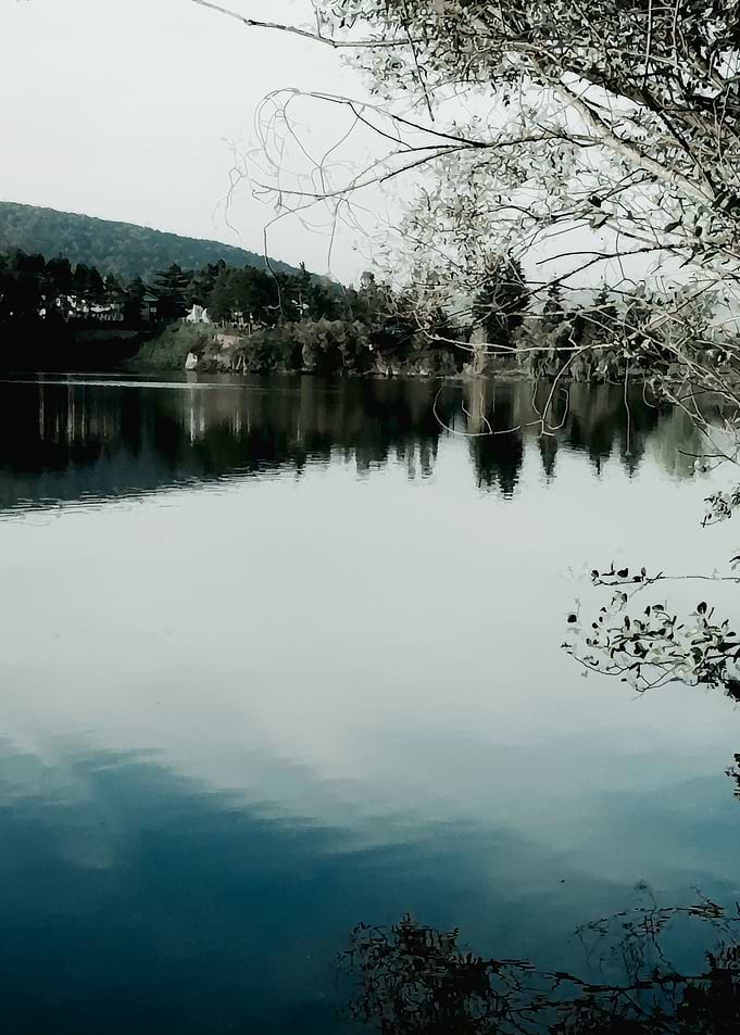 Lake evening