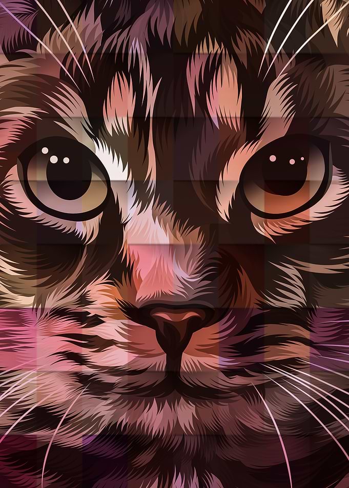 Cat Cute