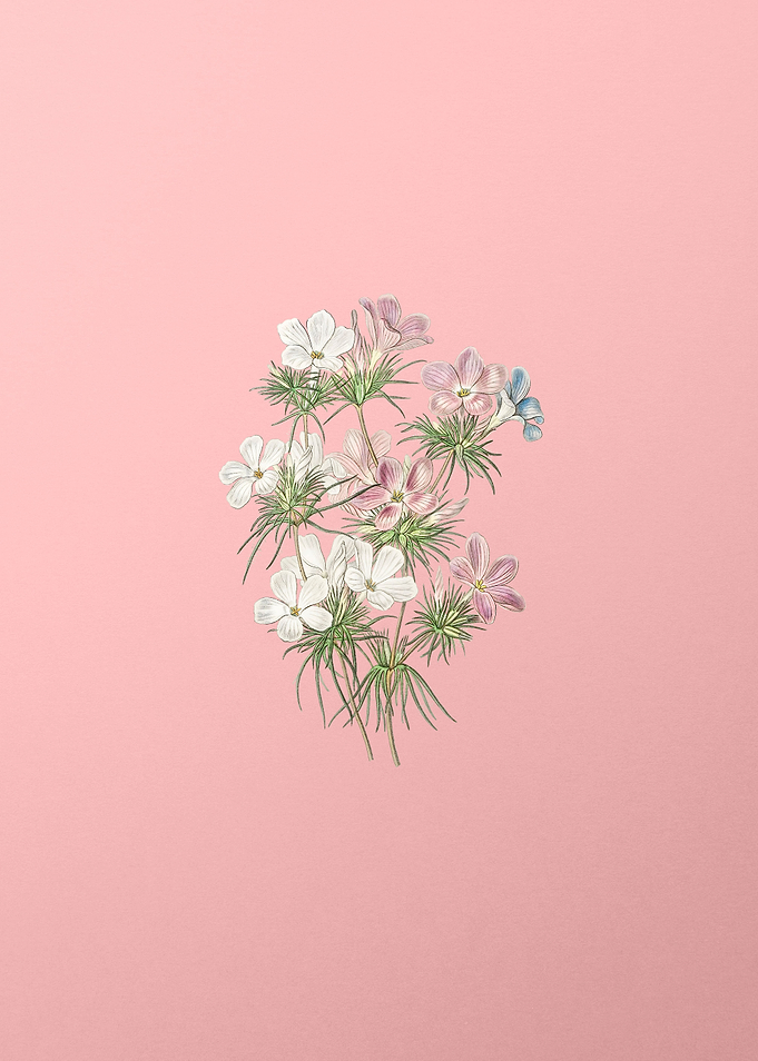 Thick Flower Slender Tube
