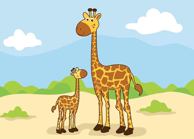 Giraffe animal