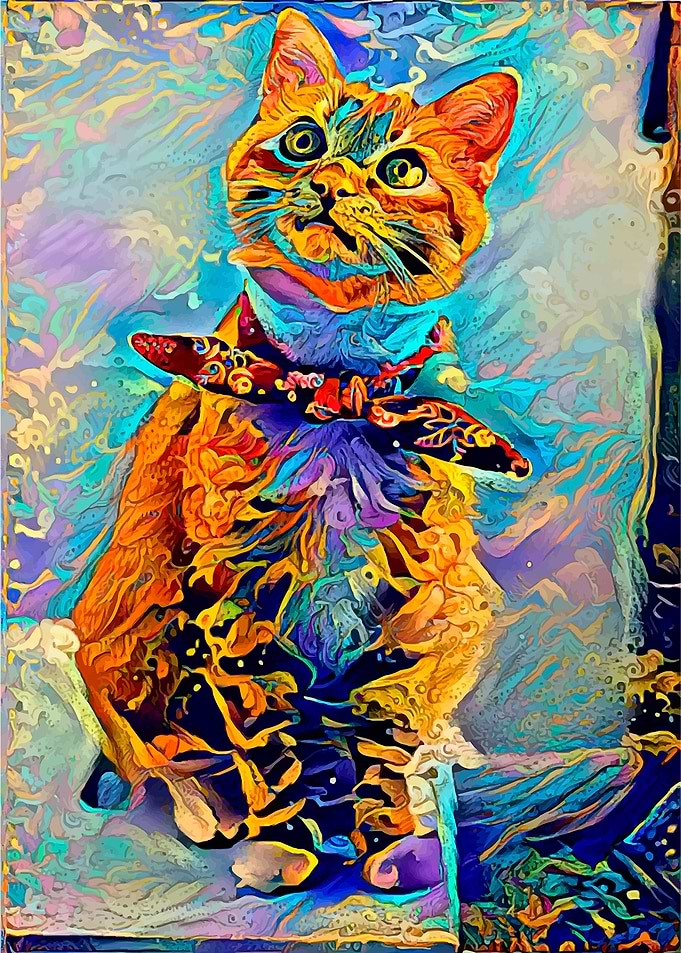 Little kitty