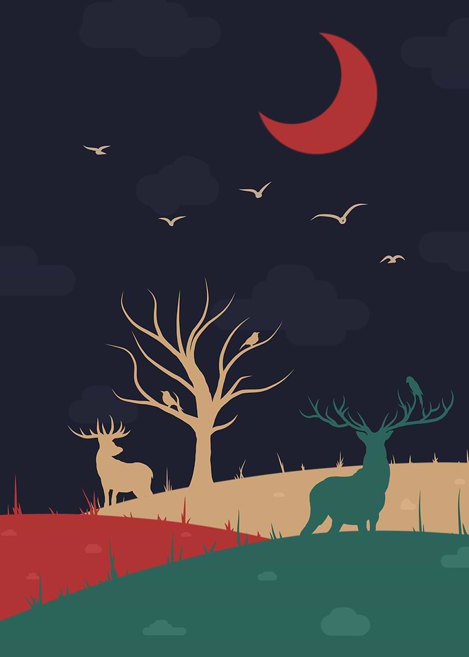 last night dream