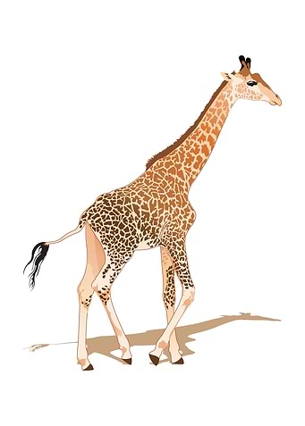 Giraffe cartoon