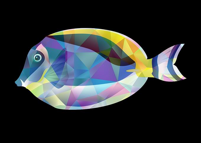 Abstract Fish