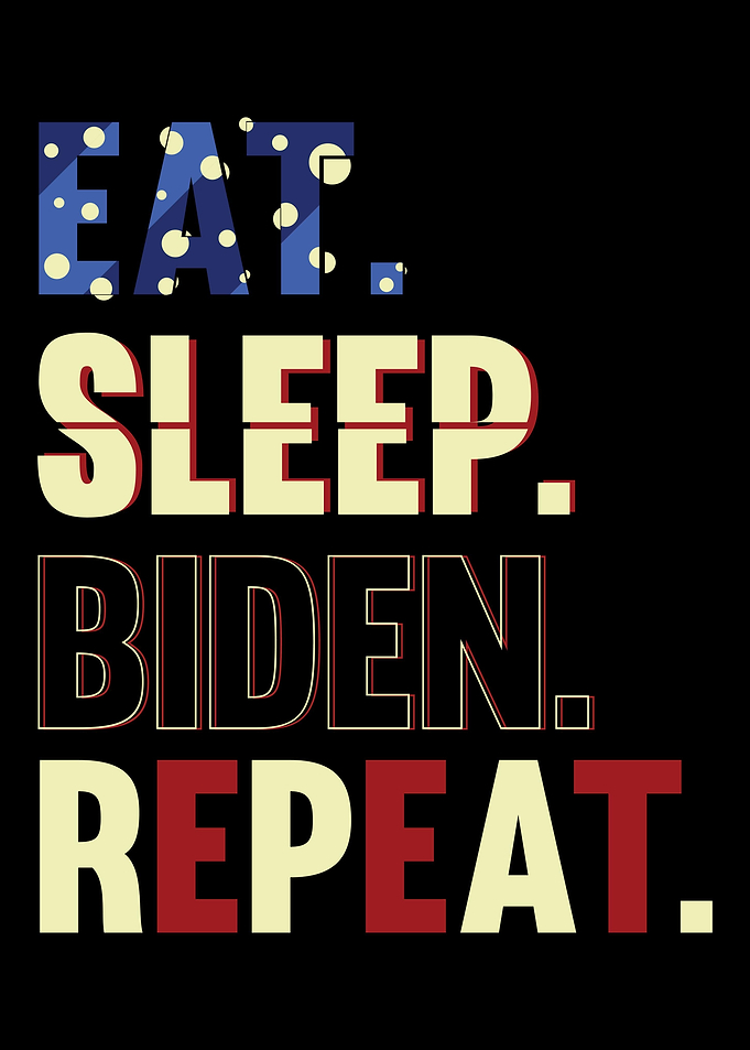 Joe Biden President USA