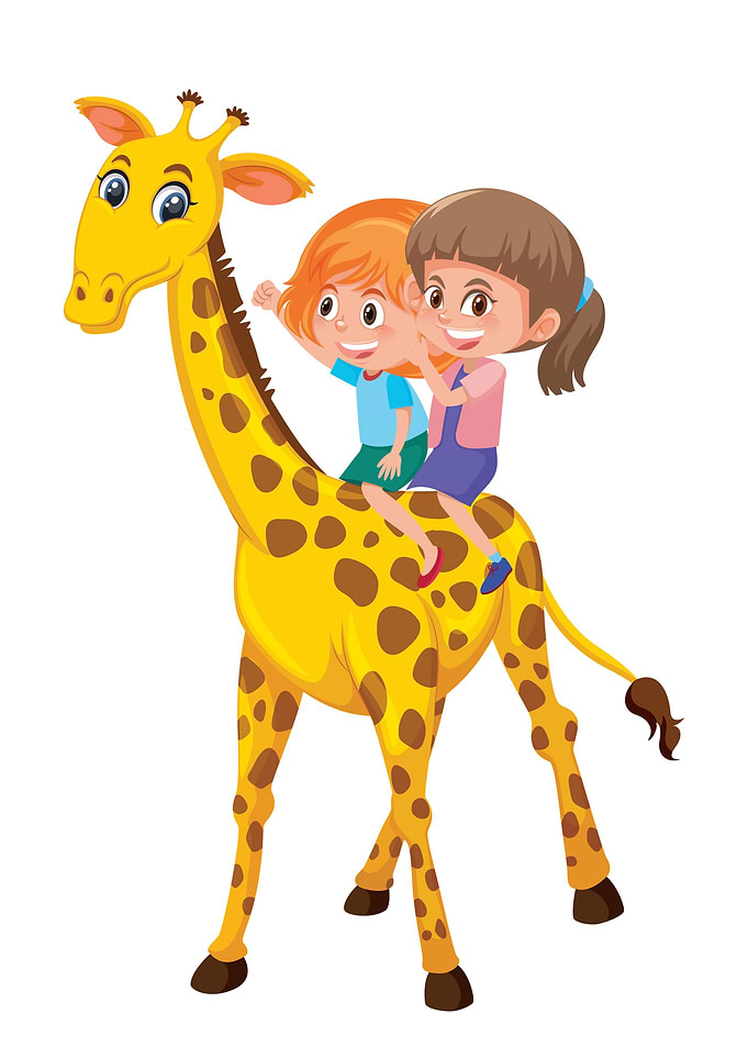Giraffe animal