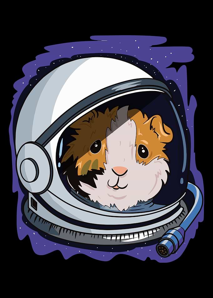 Funny Guinea Pig Mom Gift