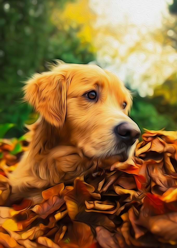 Autumn Dog