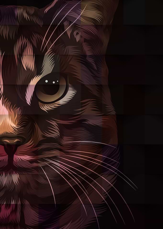 Cat art