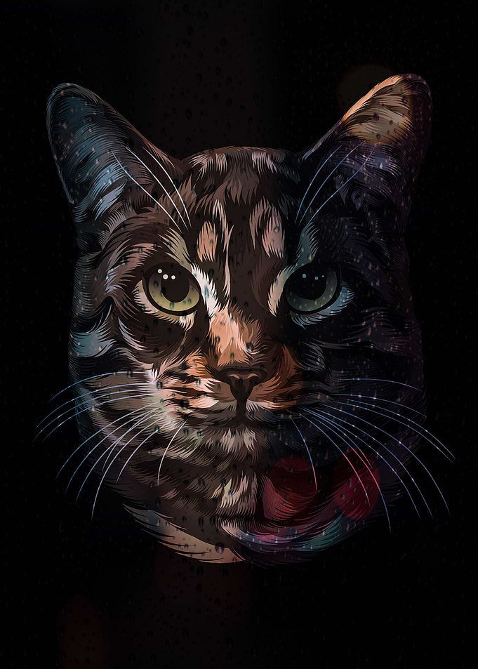 Cat Lovers