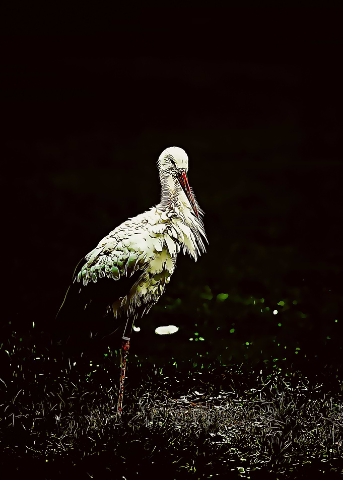 stork poster