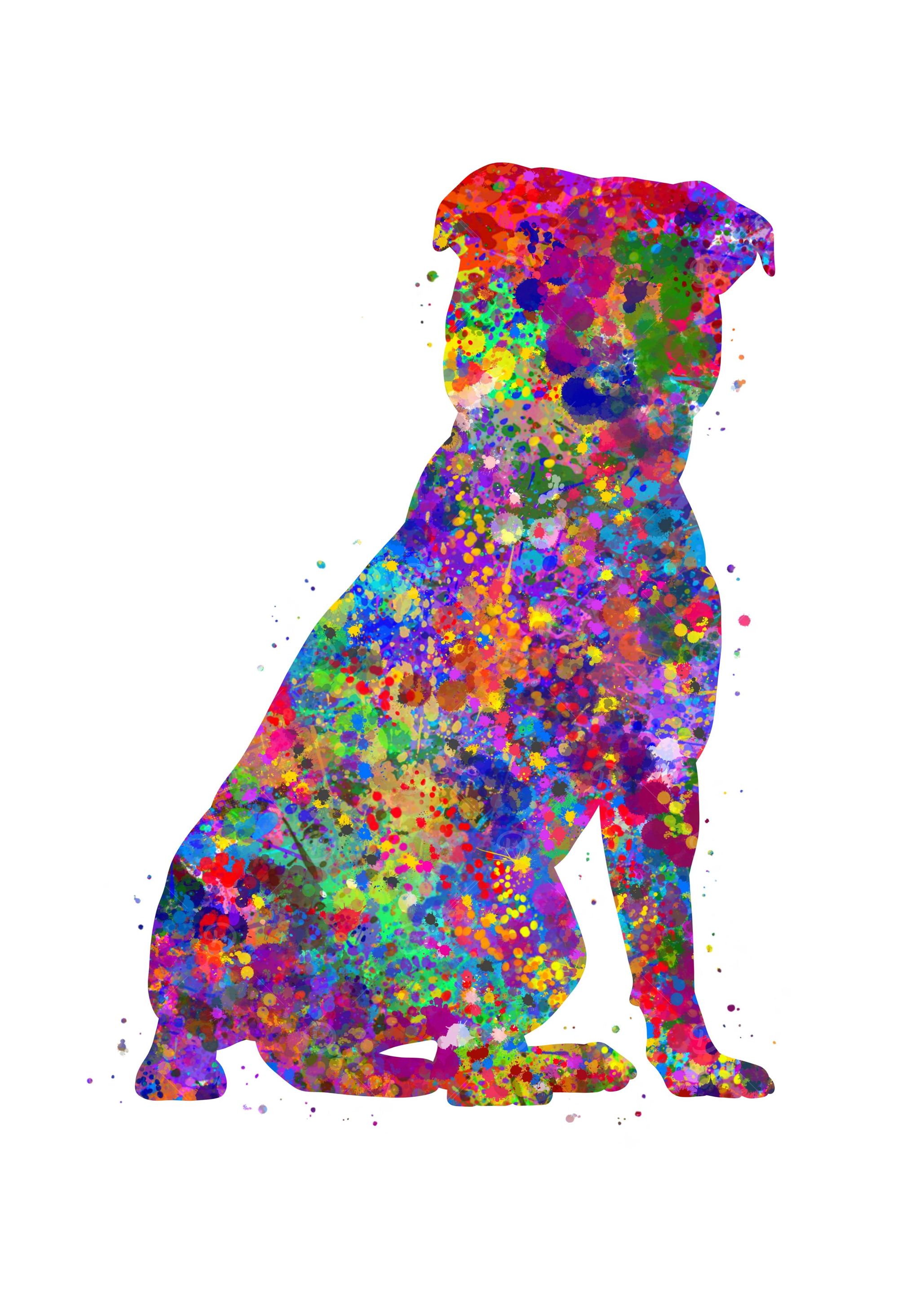 Staffordshire Bull Terrier