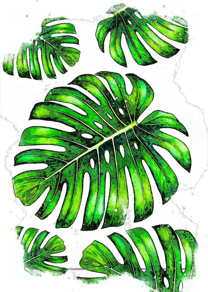 nature and watercolor