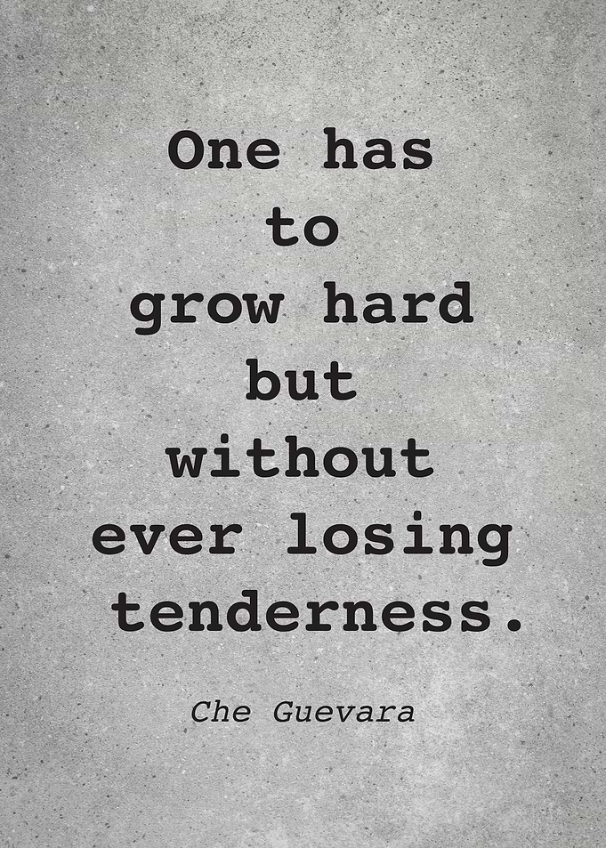 Che Guevara Quote L029
