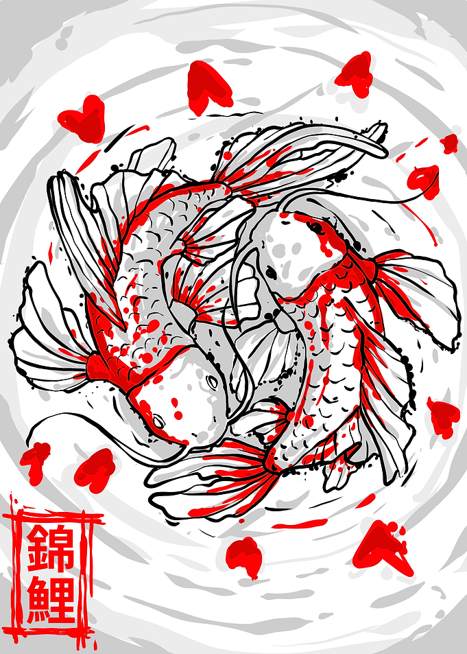 koi fish