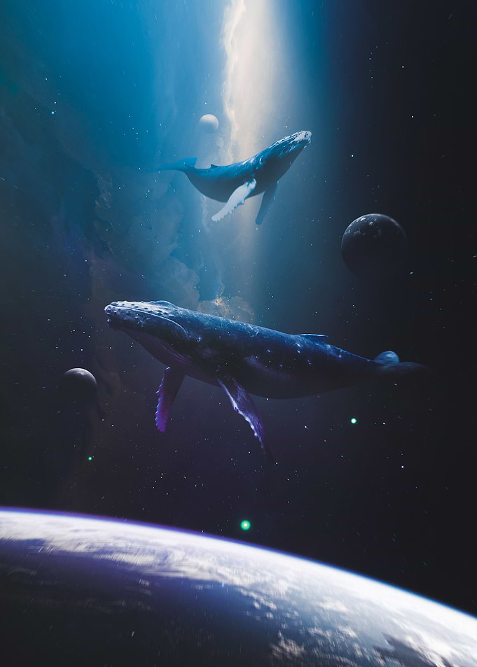 Transcendence