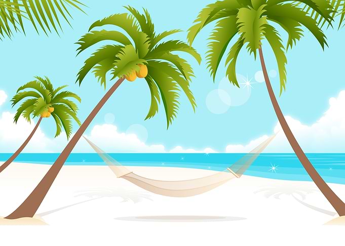 palm tree